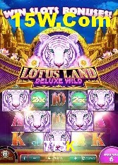Casino Ao Vivo 775K
